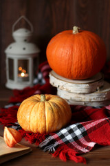 Autumn still life. Pumpkins and a lamp on a checkered plaid