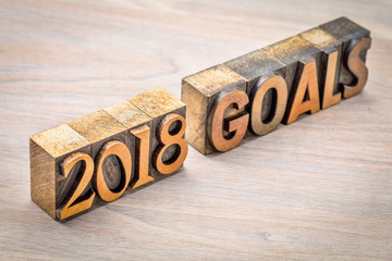 2018 goals banner in wood type