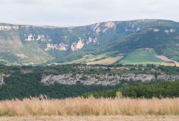 Millau