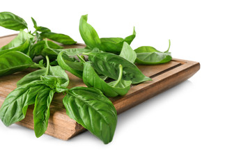 Green fresh organic basil leaves isolated on white