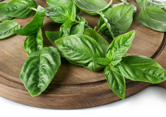 Green fresh organic basil leaves on white background, closeup