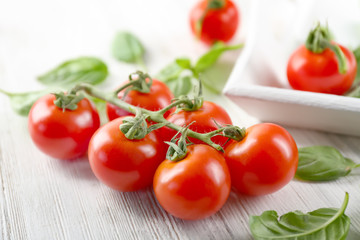 Cherry tomatoes and green fresh organic basil on wooden background