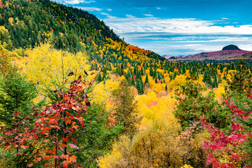 The forest of Mont Tremblant in the colors red, yellow and green of the autumn of Quebec