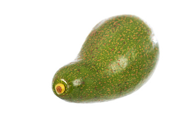 Avocado isolated on a white background