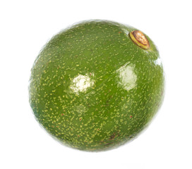 Avocado isolated on a white background