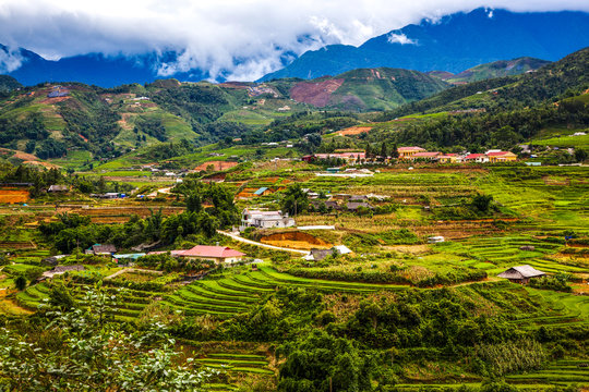 terraced green rice fields in Ma Tra village, Sa Pa, Vietnam