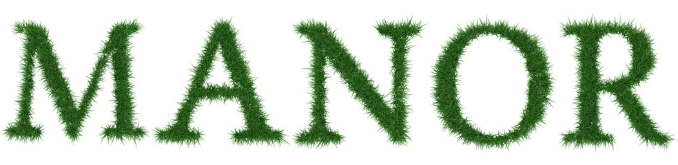 Manor - 3D rendering fresh Grass letters isolated on whhite background.