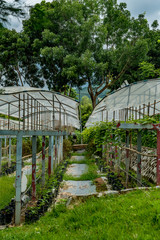 Image of grape farm