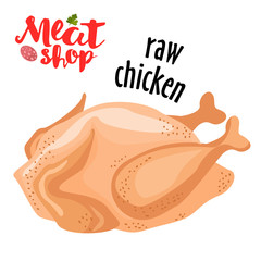 Meat vector - raw chicken vector. Fresh flat meat icon