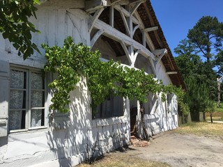 Maison Landaise