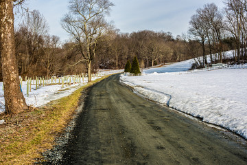 Winter Road