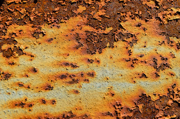 Old rustic metal sheet