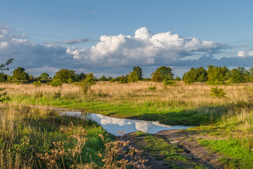 puddle on the road