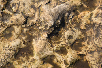 Limestone gullied in water stream background texture