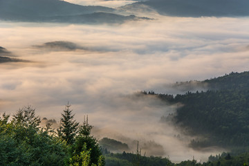 Wschód słońca ,Jaworzyna Krynicka,Beskid Sądecki. © Adam Olszowski