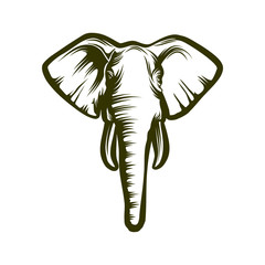 Head of african elephant