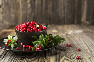 Fresh ripe forest northern cranberries or cowberry, lingonberry in ceramic cups of different size and color on a gray stone aged background for the concept of organic natural healthy food. Top View.