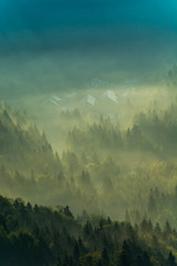 Wschód słońca  ,Jaworzyna Krynicka,Beskid Sądecki,małopolska. © Adam Olszowski