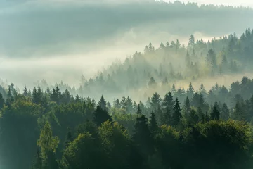 Photo sur Plexiglas Forêt dans le brouillard Lever du soleil, Jaworzyna Krynicka, Beskid Sądecki, Petite-Pologne.