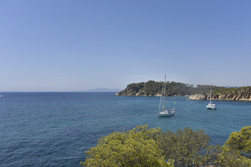 La baie de bormes-les-Mimosas