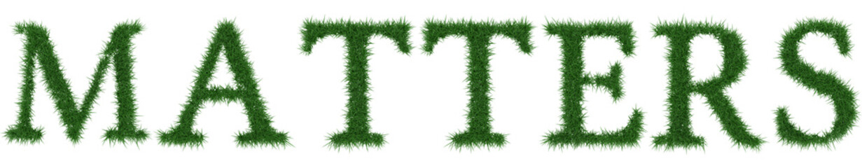 Matters - 3D rendering fresh Grass letters isolated on whhite background.