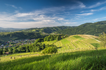 Fototapeta premium Sianokosy Rytro, Obłazy Ryterskie, Beskid Sądecki,małopolska