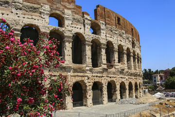 Fototapeta premium Colosseum in Rome, Italy