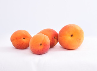 apricot
