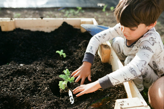 kid gardening