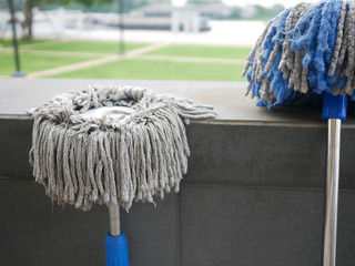 two dirty mobs sun bath from washing clean at outdoor park or garden.