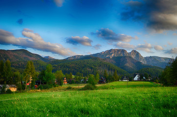 Fototapety na wymiar - Fototapeta24.pl