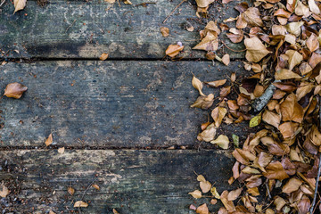 Top view background texture with old wooden table and yellow autumnal leaves