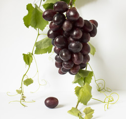 grapes on a white background. a bunch of grapes