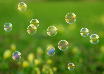 fancy elegant background with shiny soap bubbles flying over a flowery summer meadow