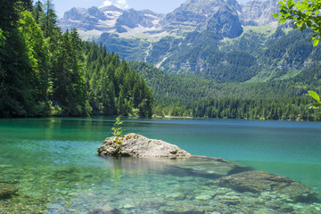 Italy, Alto Adige: Reflection in the Tovel Lake.