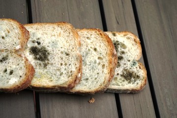 .....................Essen, Nahrung, Brot, Schimmel, verdorben