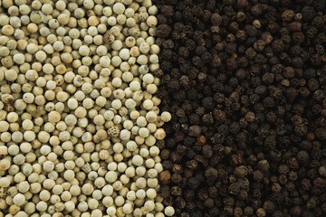 Black pepper and white pepper