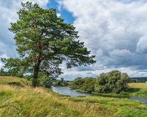 Obraz premium a sunny day on the river