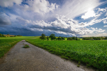 Fototapeta na wymiar The green fields after a stormy summer rain
