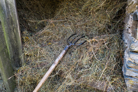 Pitchfork resting on a pile of hay in rustic wooden barn.