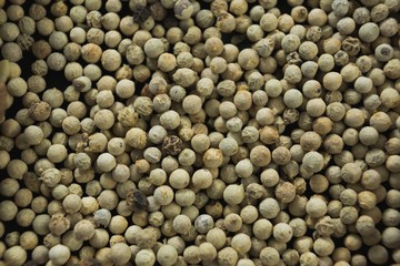 Close-up of white peppers