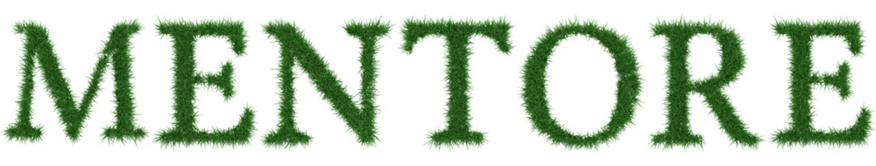 Mentore - 3D rendering fresh Grass letters isolated on whhite background.