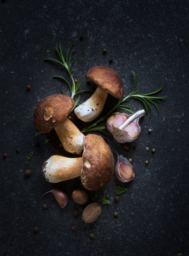 organic porcini Mushroom; seasoning forest Mushroom and Italian Spices Herb