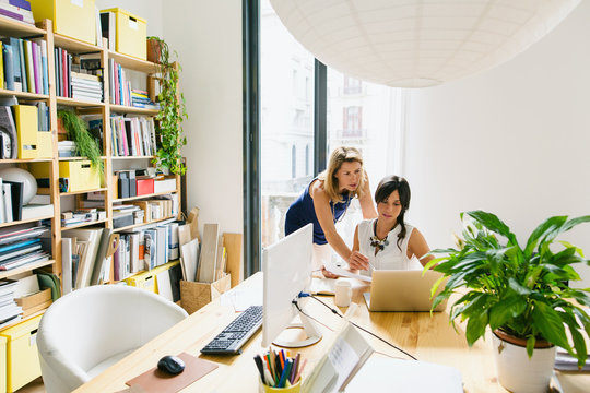 Female team working together in a beautiful bright studio.