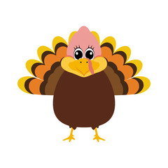 Turkey Pilgrimin on Thanksgiving Day