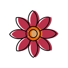 Beautiful flower symbol icon vector illustration graphic design