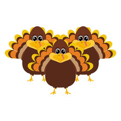 Turkey Pilgrimin on Thanksgiving Day