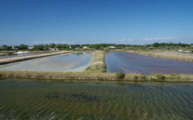 marais salant 