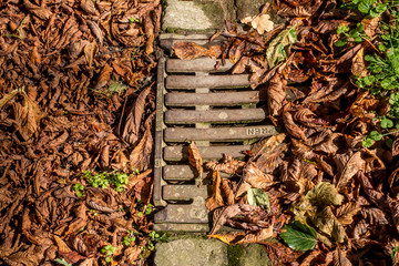 Laub verstopfter Abwasser Kanal