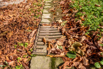 Laub verstopfter Abwasser Kanal